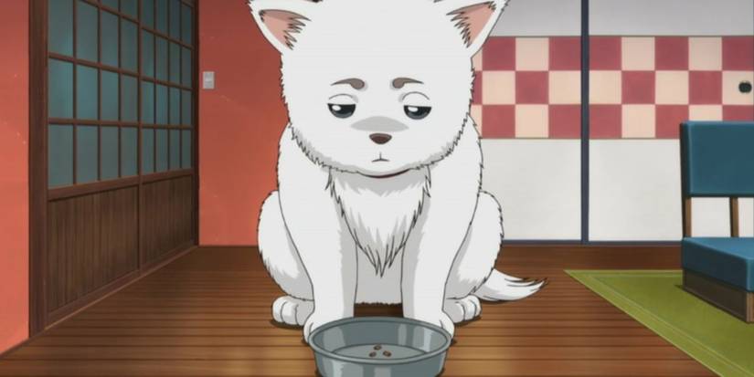 Sadaharu feeling sad in Gintama