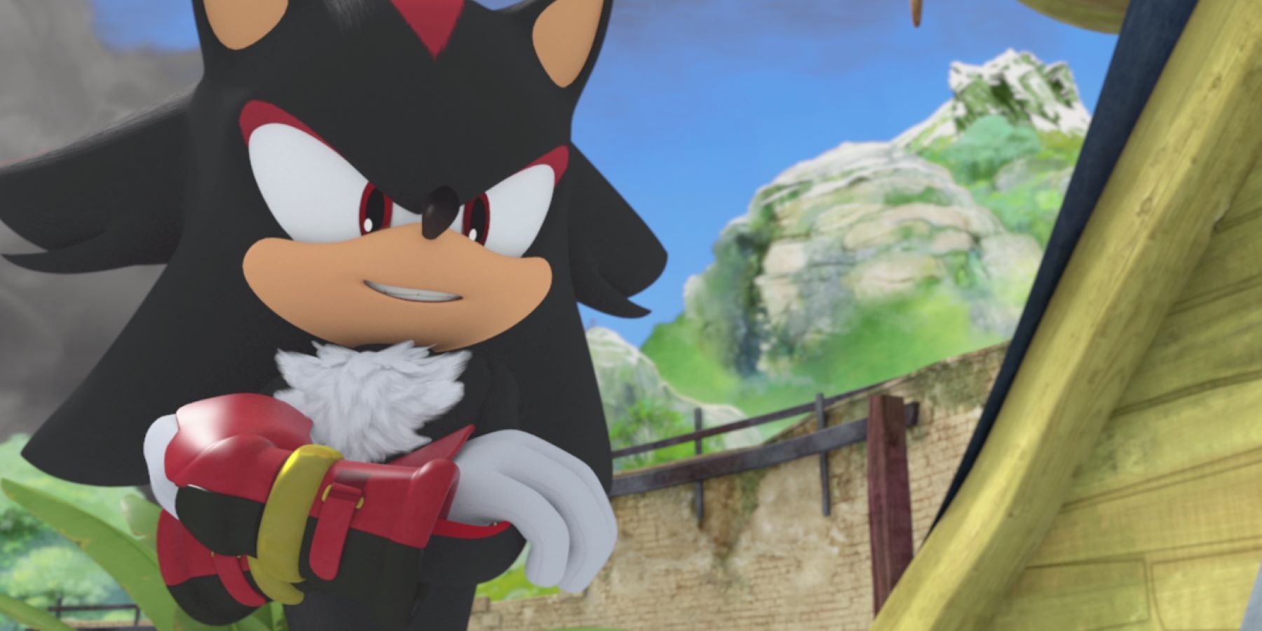 Shadow the Hedgehog crossing his arms and smirking in the Sonic Boom animated series