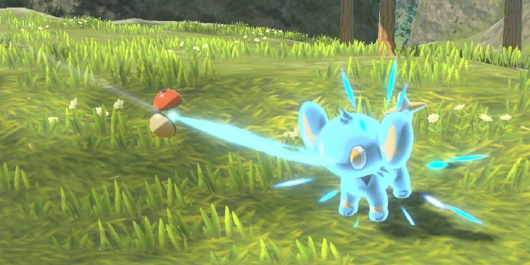 A Shinx entering a Poke Ball in Pokemon Legends: Arceus