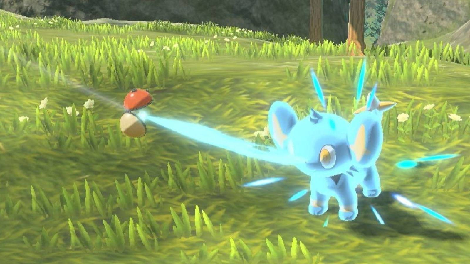 A Shinx entering a Poke Ball in Pokemon Legends: Arceus