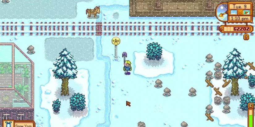 Stardew Valley Snowy Weather