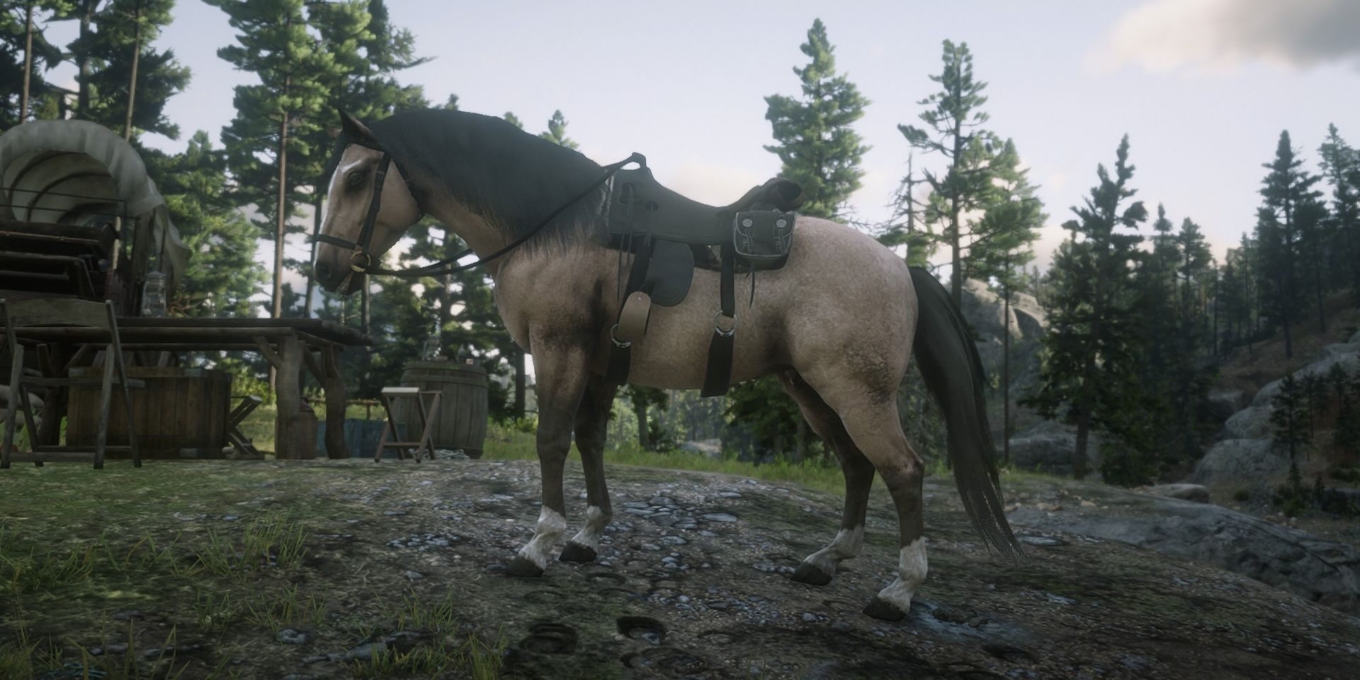 The Criollo horse breed in Red Dead Online