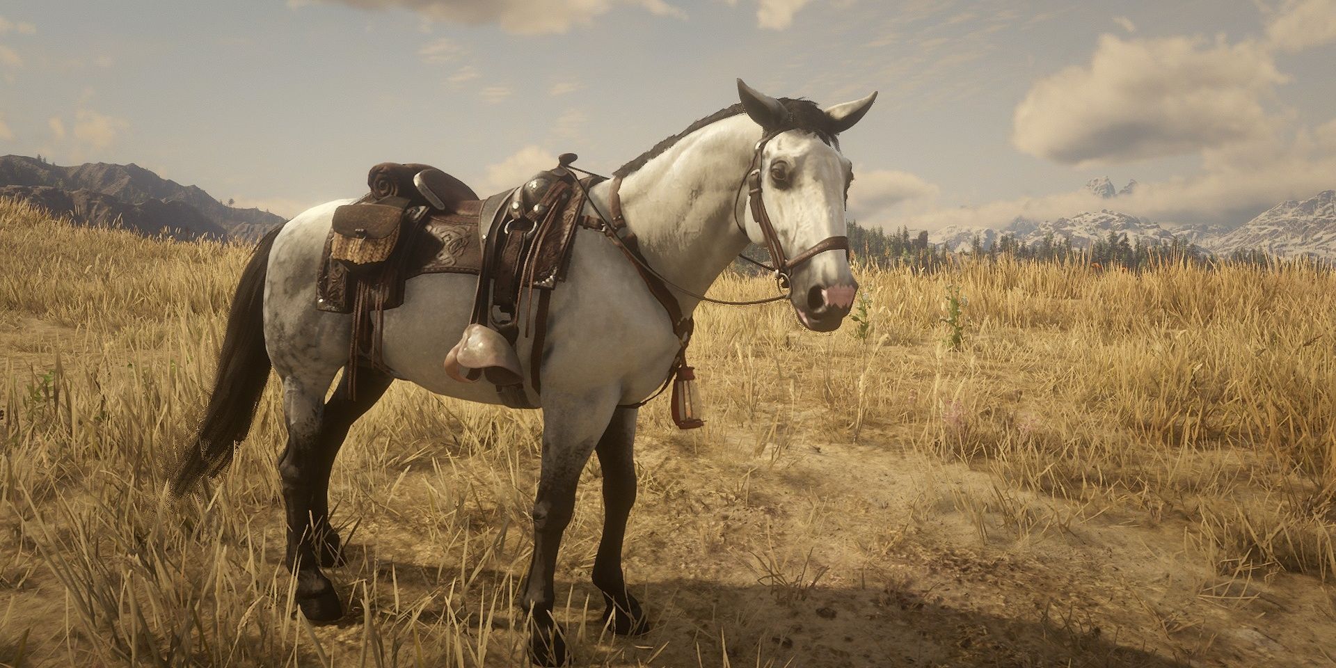 The Kladruber horse breed in Red Dead Online