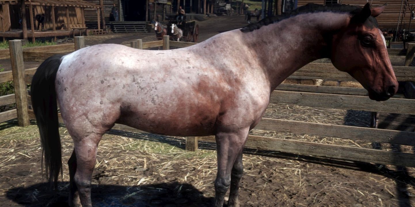 The Morgan horse breed in Red Dead Redemption 2