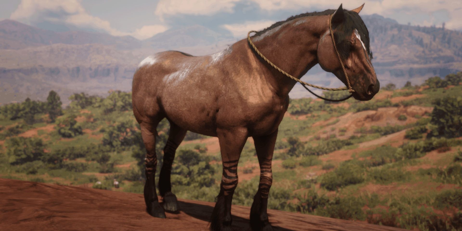 The Mustang horse breed in Red Dead Redemption 2