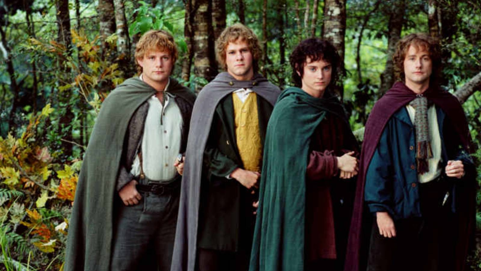 The four hobbits