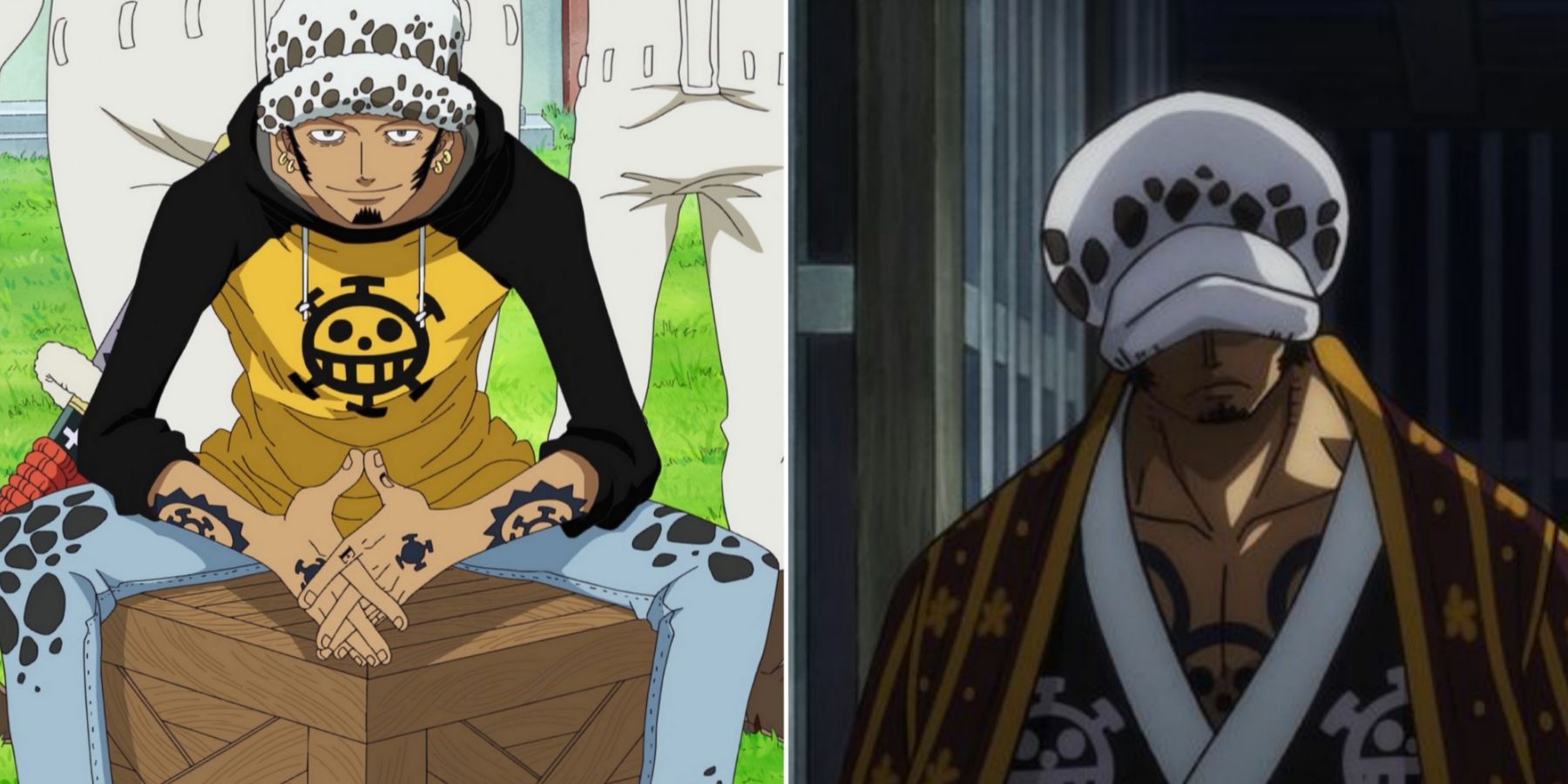 One Piece: The Meaning Behind All of Trafalgar D. Water Law's Tattoos