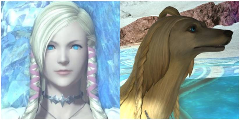 Split image of Word of the Mother and Argos.