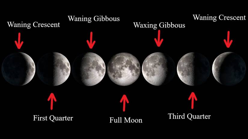 pokemon legends arceus how to evolve ursaring into ursaluna crimson mirelands peat block ride ursaluna find treasure full moon lunar cycle teddiursa ursaring locations