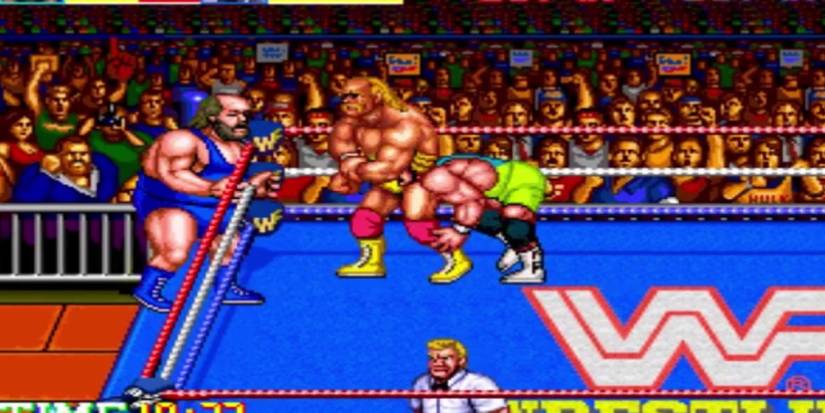 WWF WrestleFest