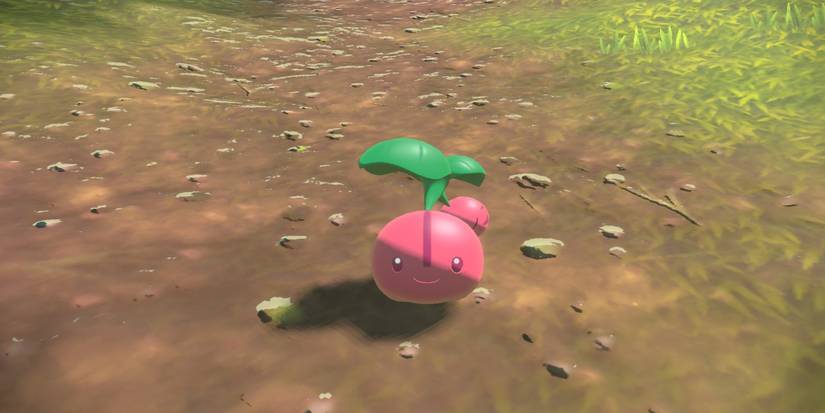 pokemon legends arceus cherubi