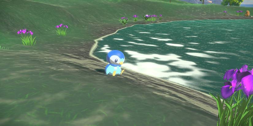 pokemon legends arceus piplup