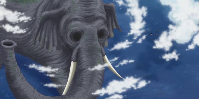 Zunesha Role In One Piece