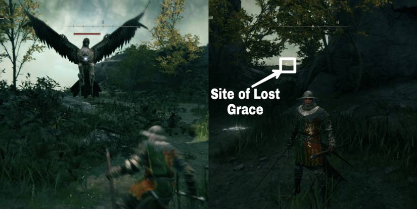 a bird and site of lost Grace in elden ring