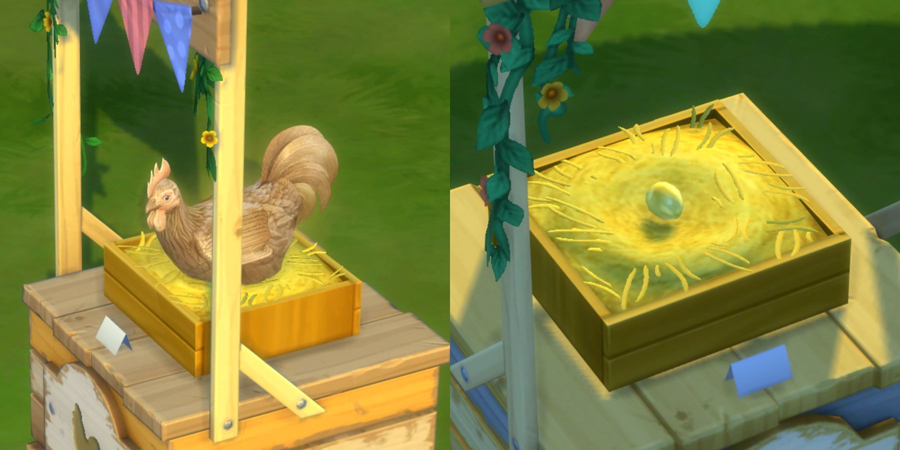 a golden chicken and egg in the sims 4