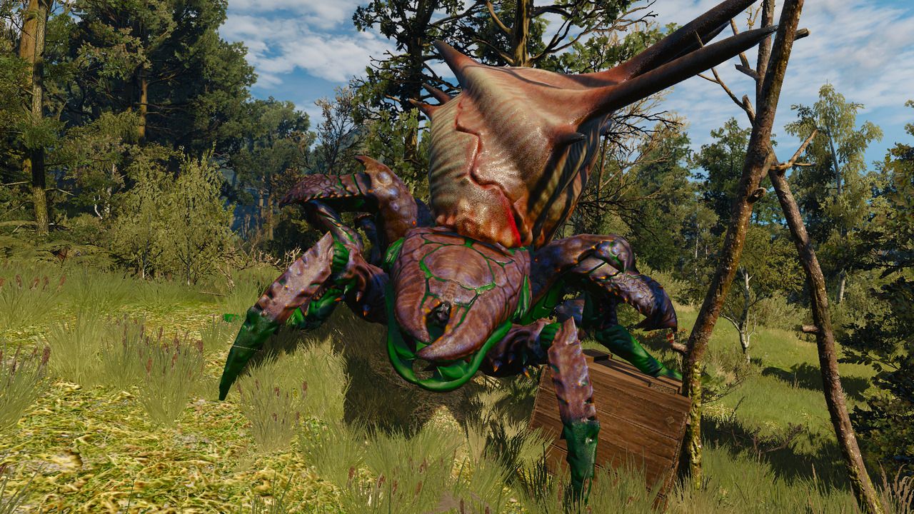 The Witcher 3: Wild Hunt - Insectoids Are Larger And More Dangerous Insects