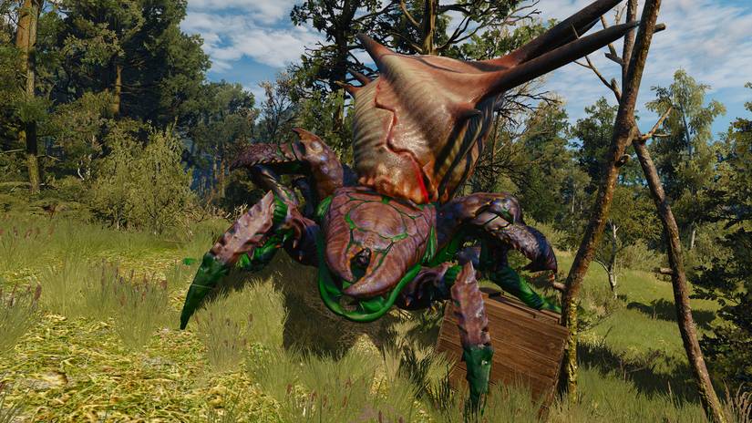 The Witcher Insectoids The Witcher 3: Wild Hunt - Insectoids Are Larger And More Dangerous Insects