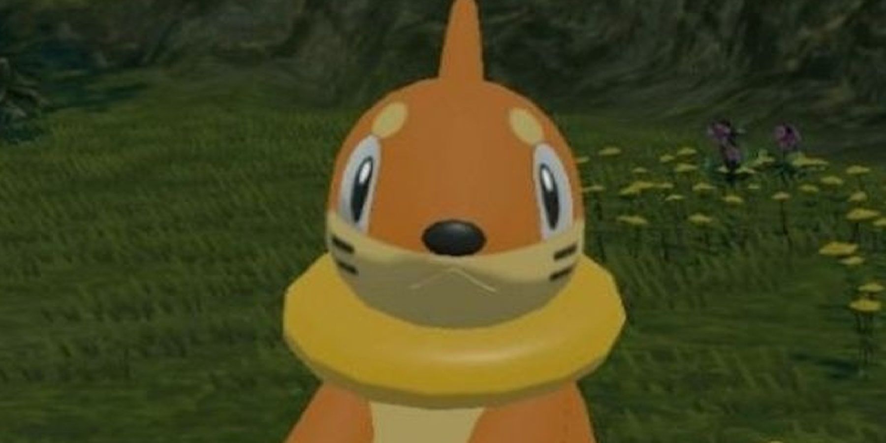 buizel-gang