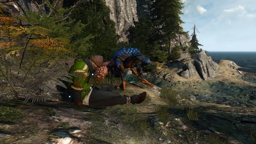 The Witcher Insectoids The Witcher 3: Wild Hunt - Insectoids Are Larger And More Dangerous Insects