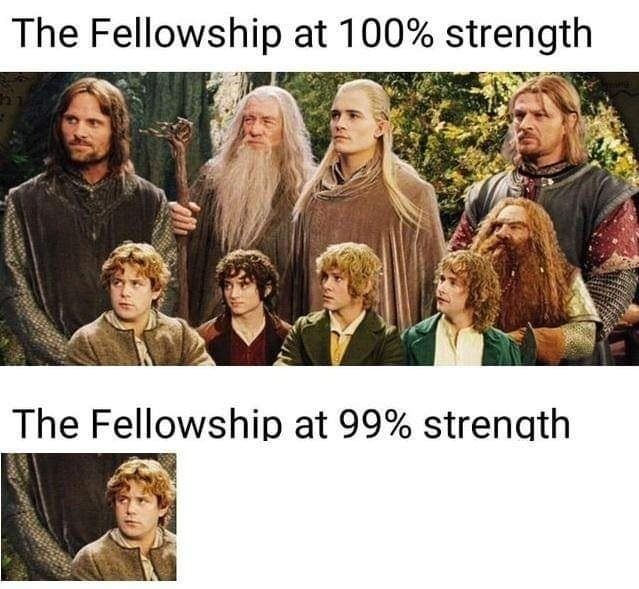 Lord of the Ring Meme refering to the fact that it was thanks to Sam, Frodo completed his quest. 