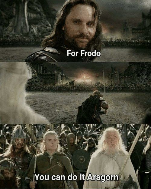 Lord of the Rings Meme making fun at the moment when Aragorn charges into battle. 