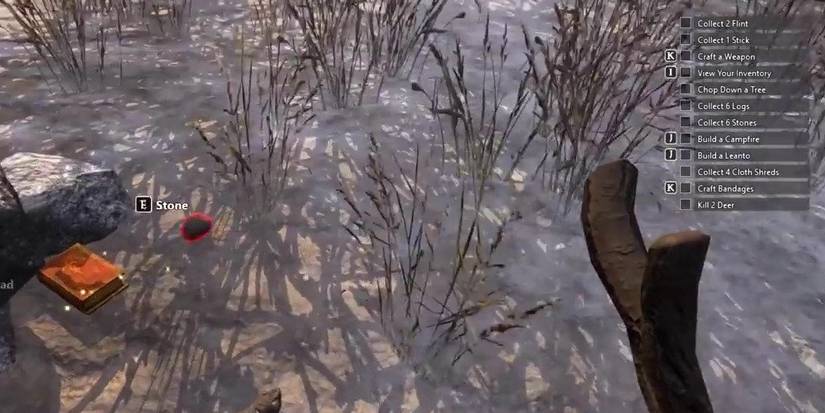 Player using the Savage Stick in Savage Lands. 