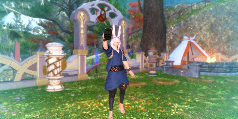 final-fantasy-14-free-company-rank-5