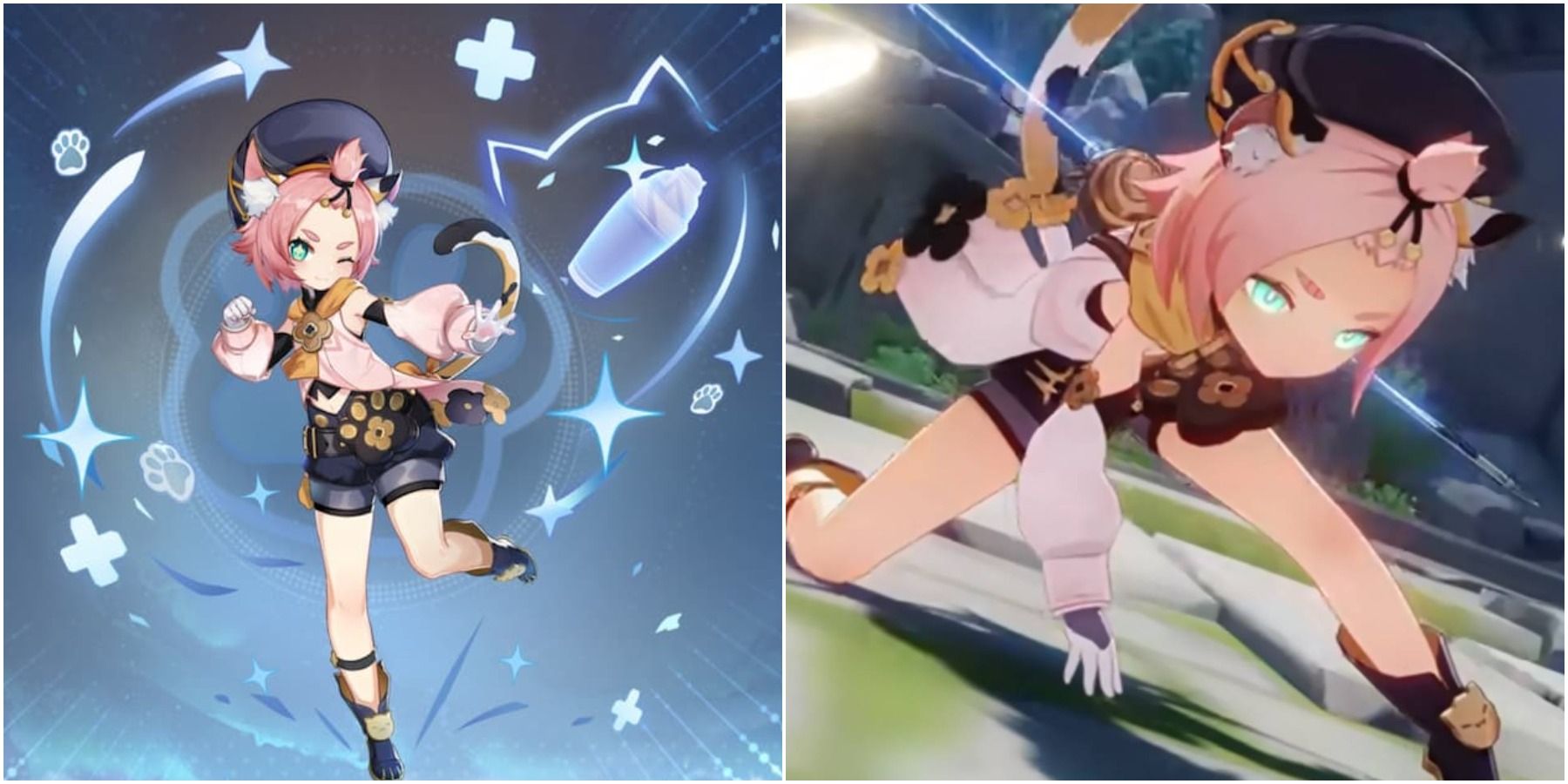 split image of diona from genshin impact