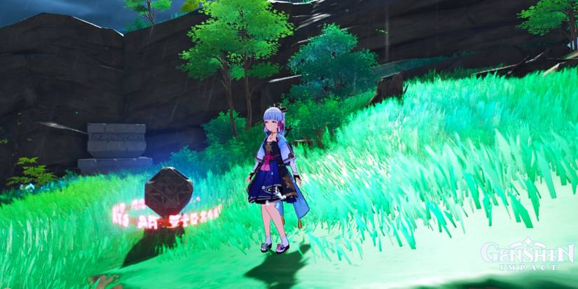 cube near formation estate in genshin impact