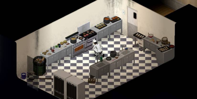 Project Zomboid Survivor In The Kitchen