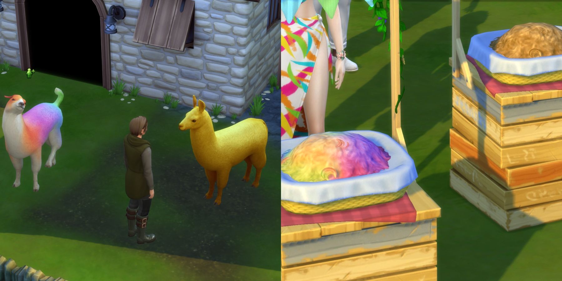 golden and rainbow llama and wool in the sims 4