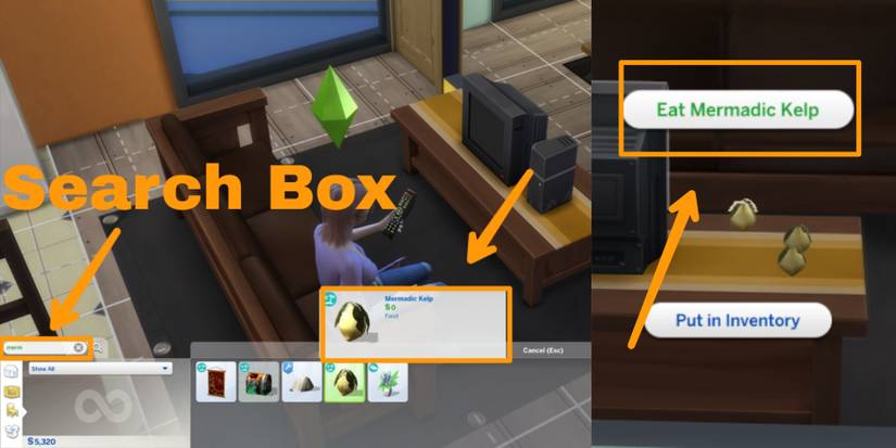 mermadic kelp location in build mode in the sims 4