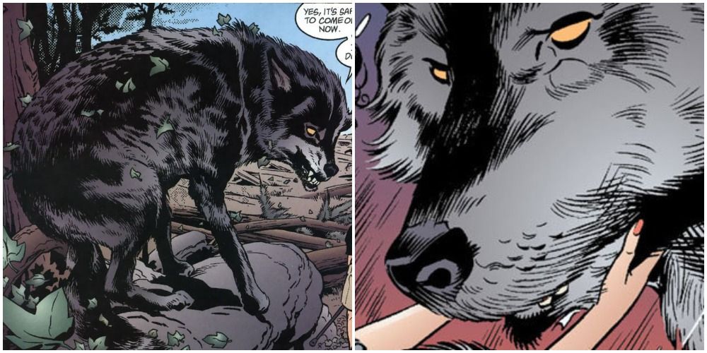Split images of Bigby in wolf form in comics.
