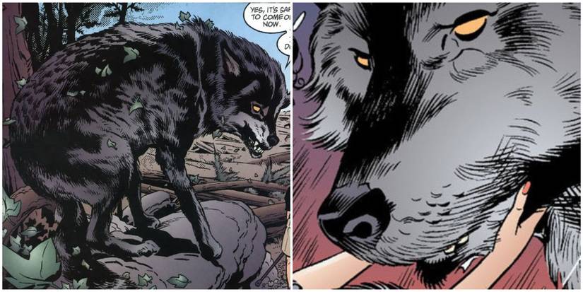 Split images of Bigby in wolf form in comics.