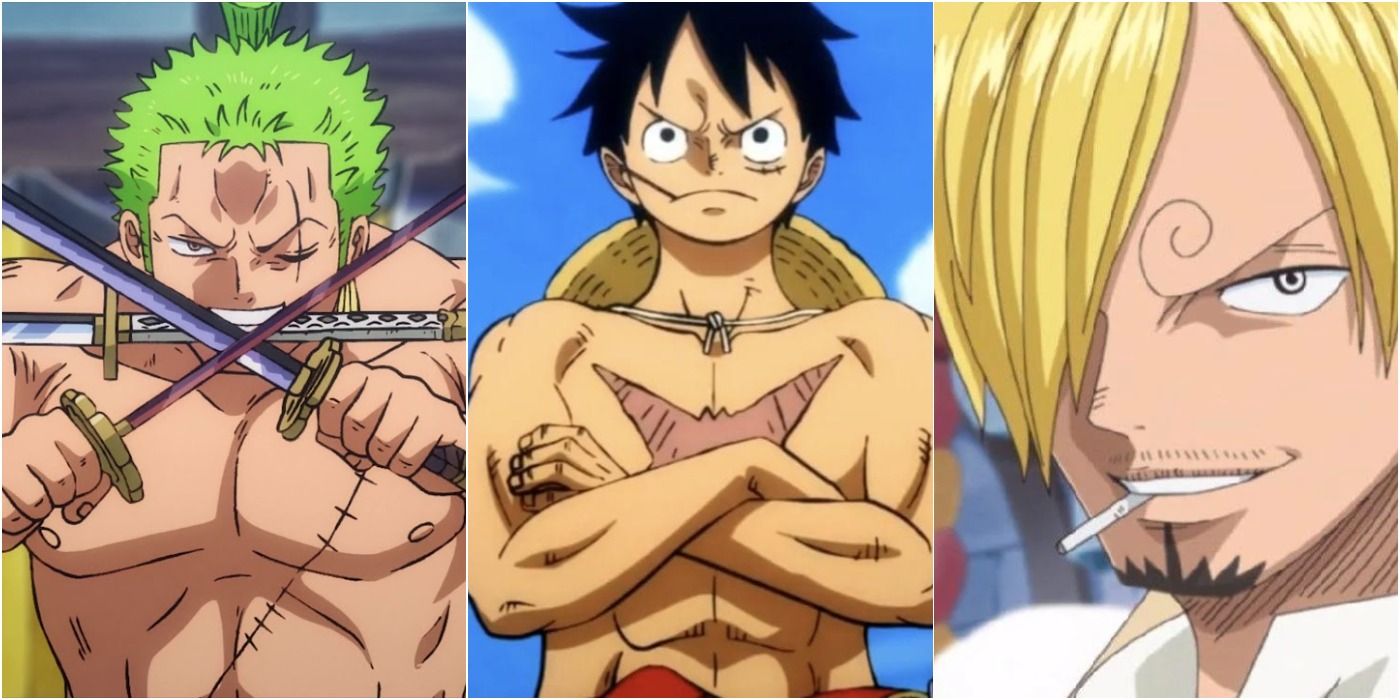 luffy and zoro and sanji