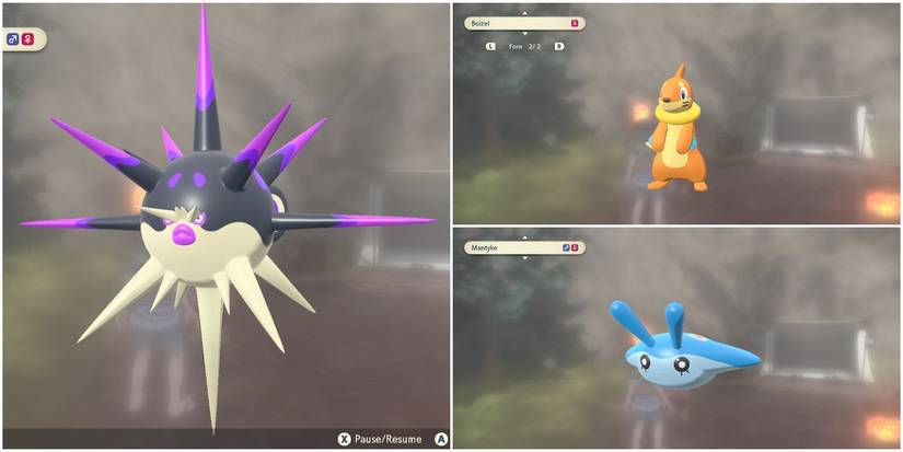 pokemon legends arceus buizel mantyke overqwil