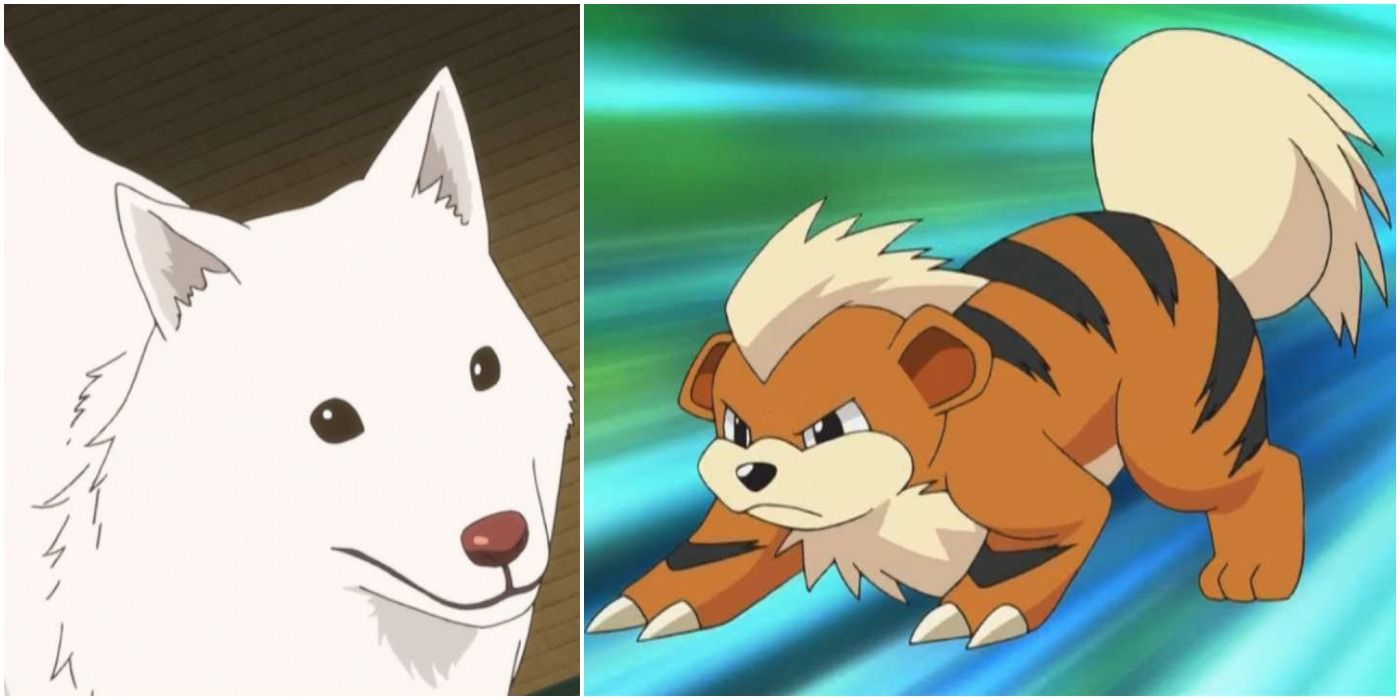 200 Anime Dog Names CartoonInspired Canine Names