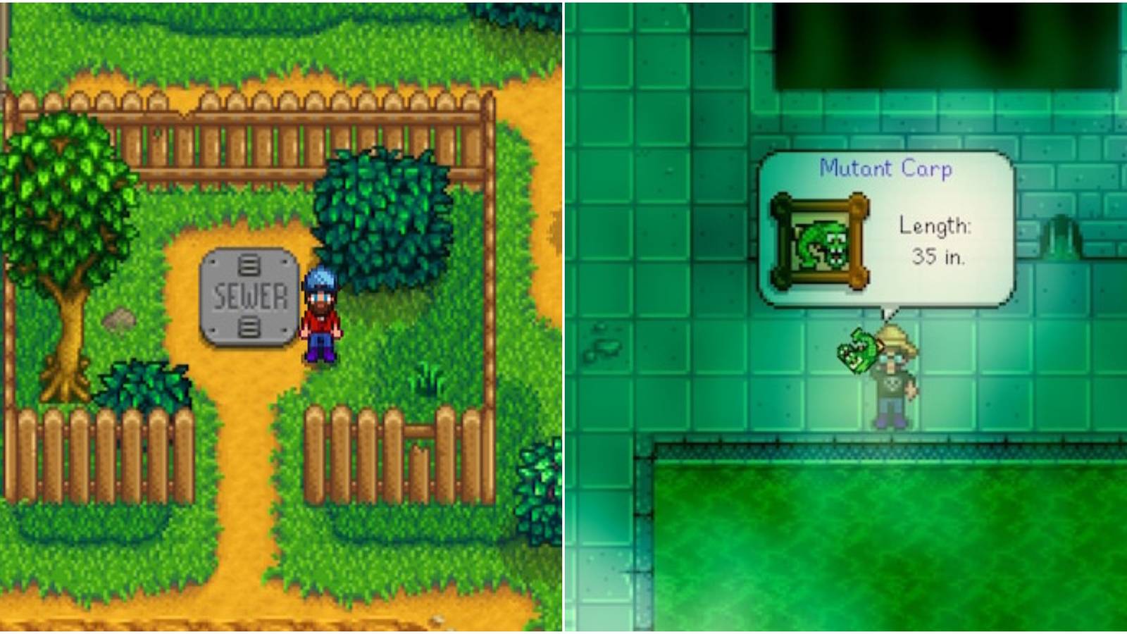 left: sewer door; right: catching mutant carp