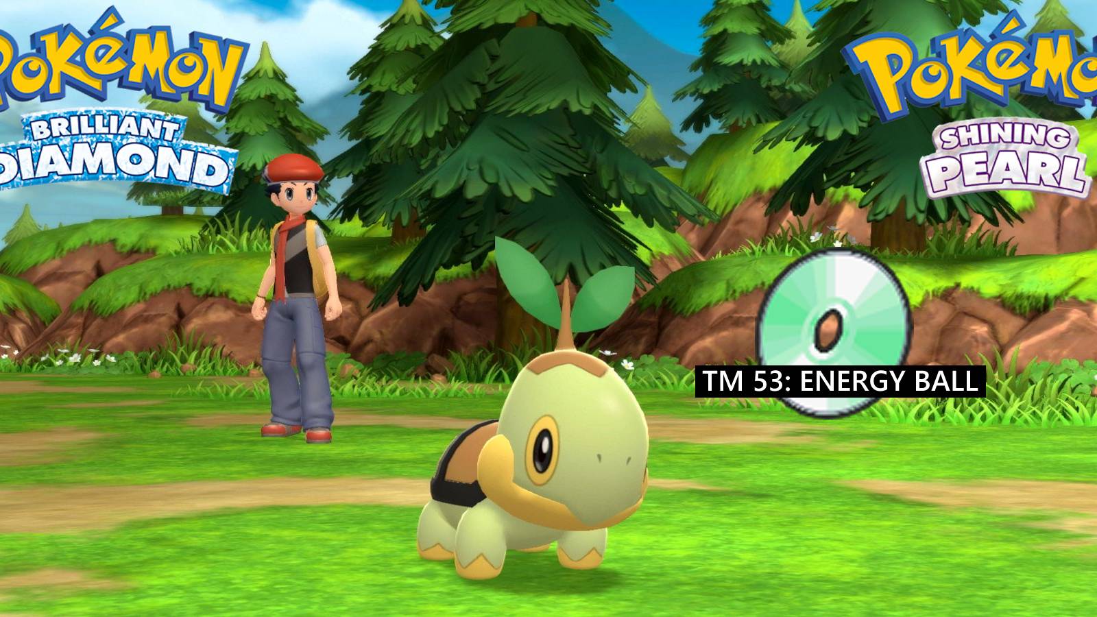 pokemon bdsp turtwig