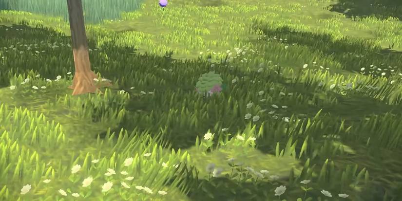 pokemon-legends-arceus-every-mythical-legendary-17-shaymin