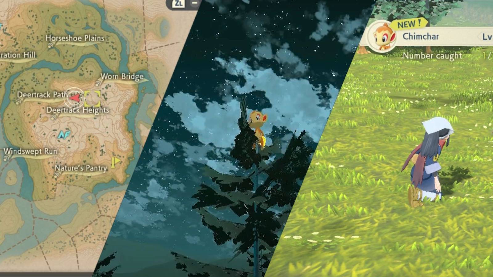 pokemon legends arceus how where to get chimchar early obsidian fieldlands random spawn rare deertrack heights mysterious will-o-the-wisp mission