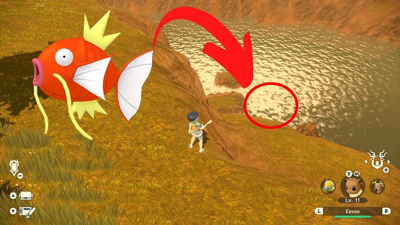 pokemon legends arceus magikarp