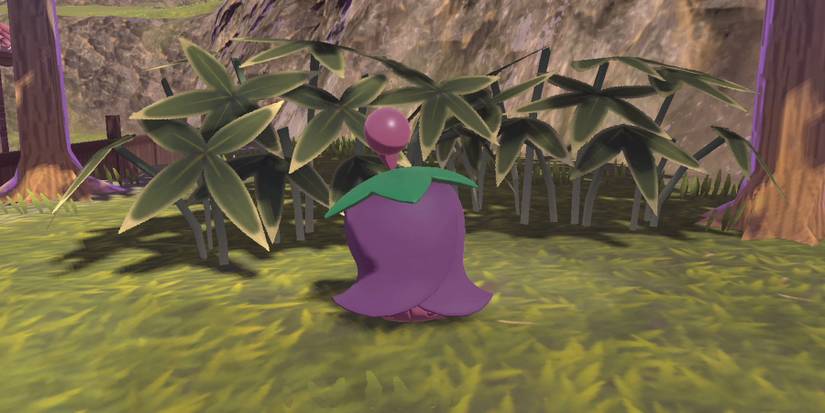 pokemon-legends-arceus-update-catch-cherrim