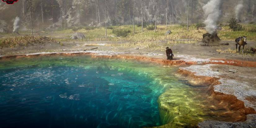 rdr 2 cotorra springs