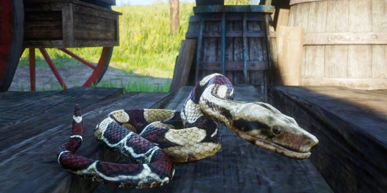 red-dead-online-best-animals-to-hunt-snake