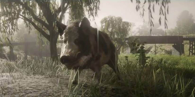 red-dead-online-best-animals-to-wild-boar
