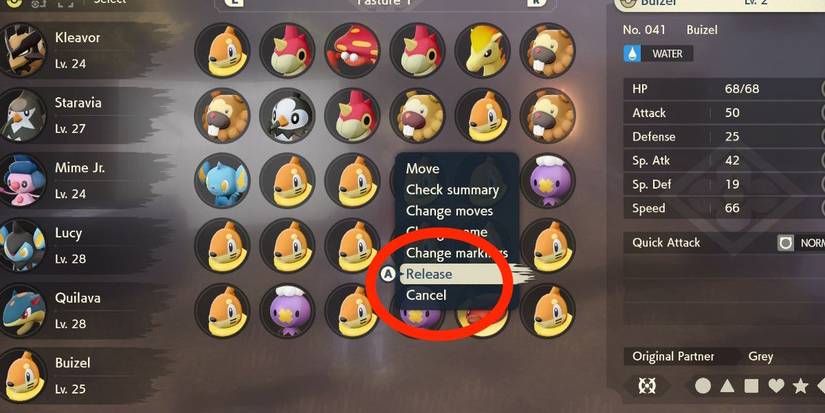 release pokemon screen pastures pokemon legends arceus