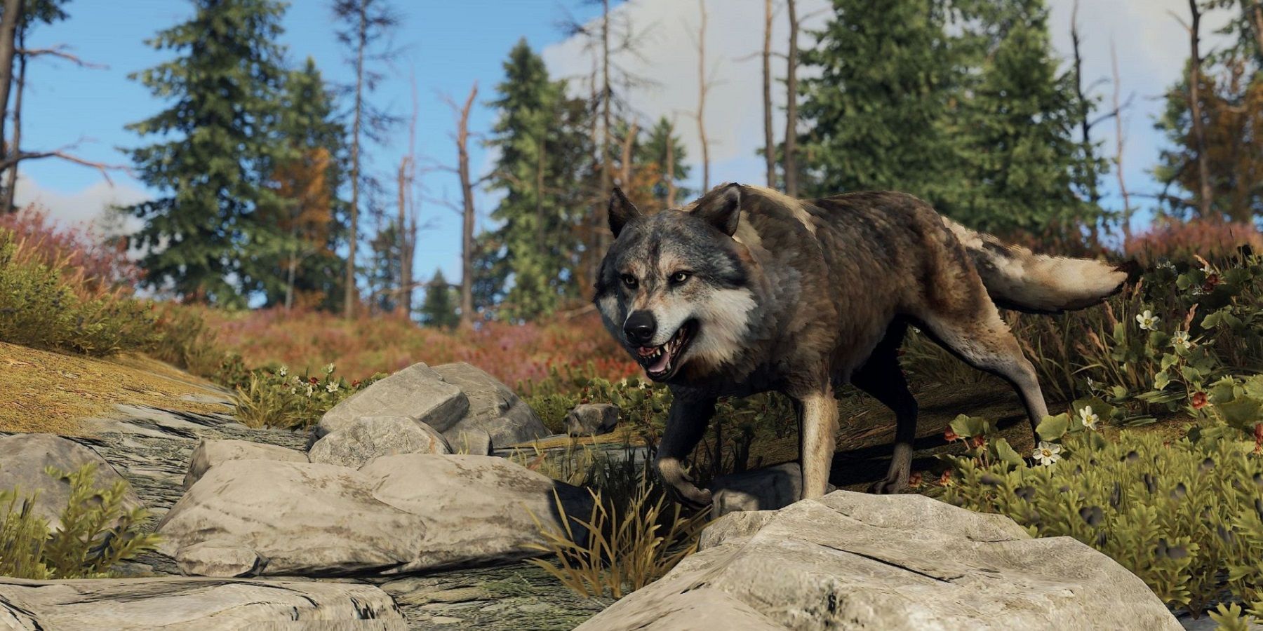 Screenshot from Rust showing a wolf about to attack.