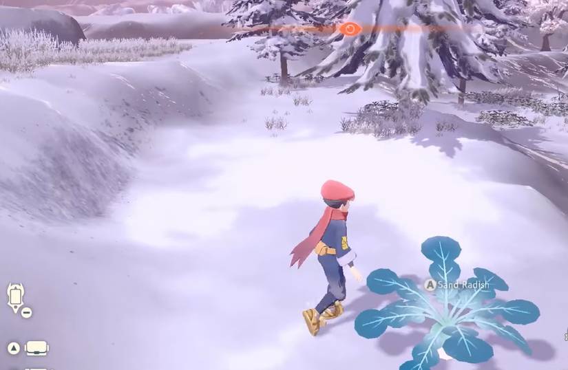 sand radishes pokemon legends arceus