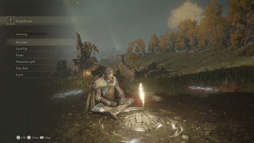 site of grace elden ring menu